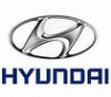 Hyundai egr